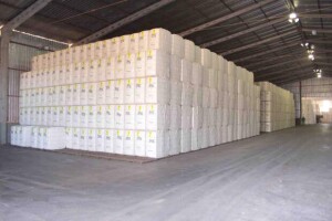 O movimento de baixa ao longo da semana foi marcado pela redução das posições compradas dos fundos de investimento e pelo avanço da colheita nos Estados Unidos. (Foto: reprodução Google)